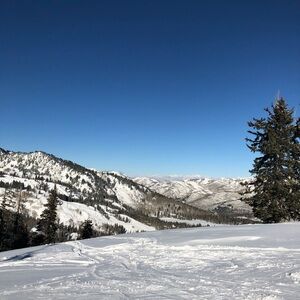 Meet your Posher, thrifted_finds88